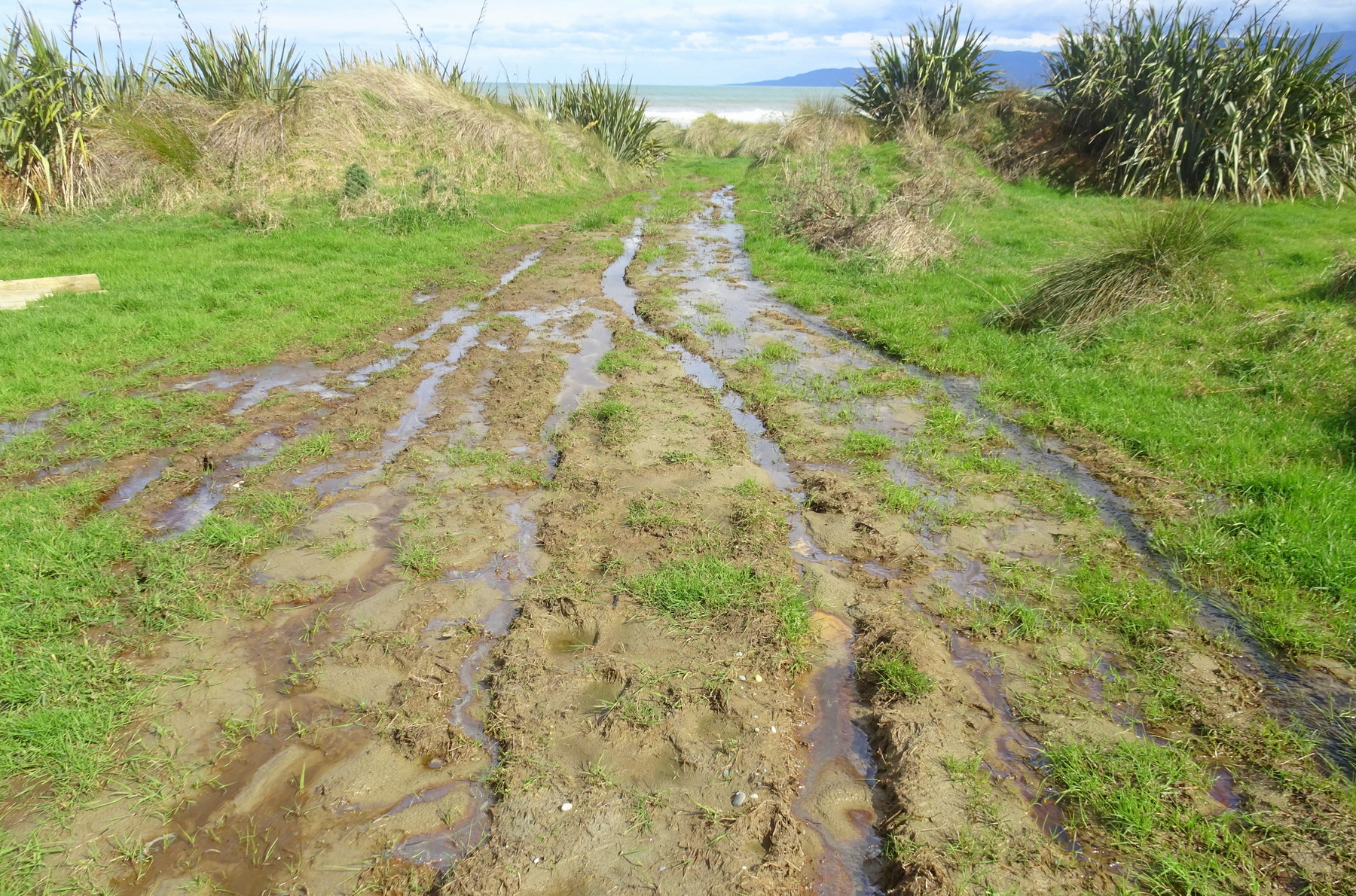 At the bottom of the track, looking ahead at a boggy muddy section just before the beach.