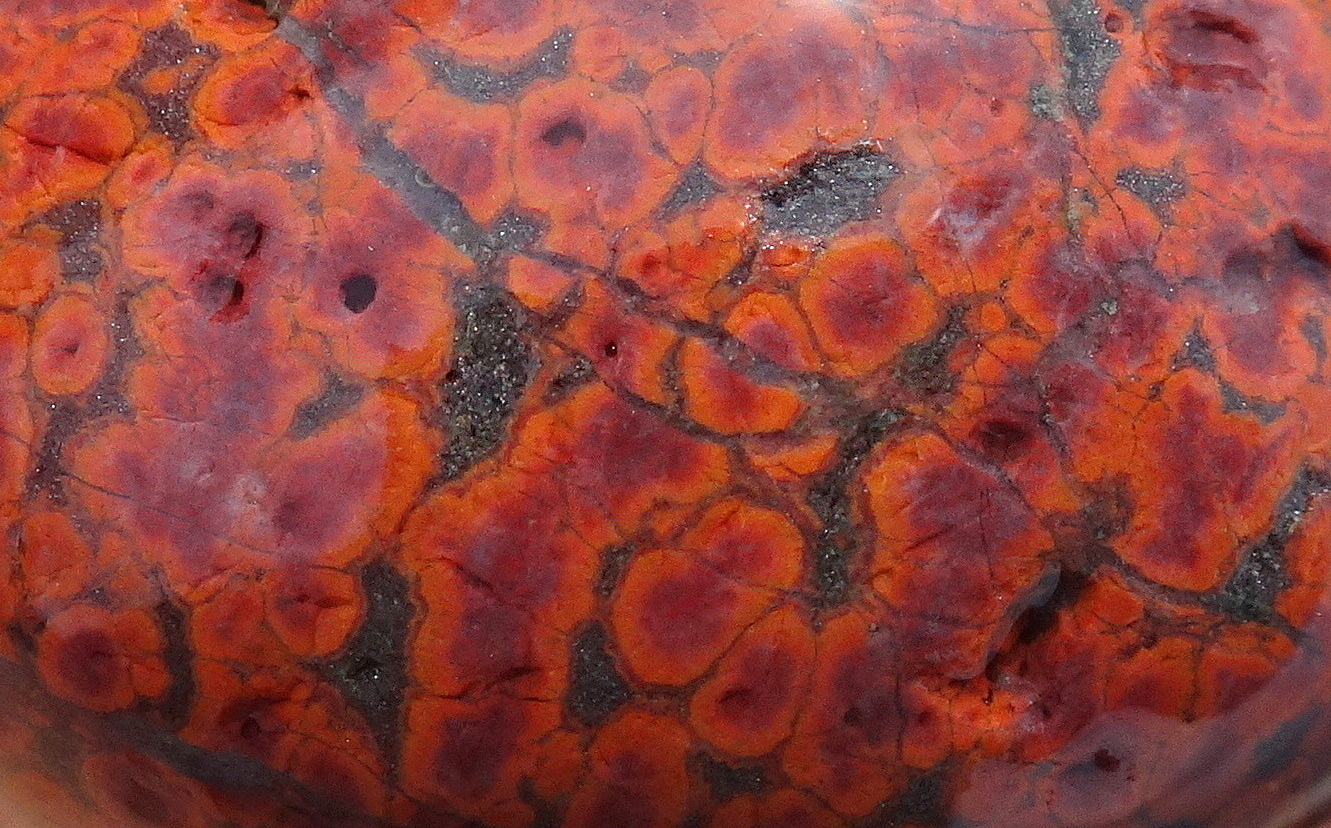02ccc22