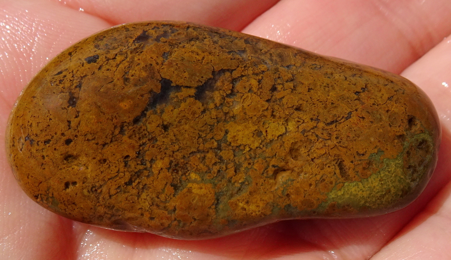 06cc