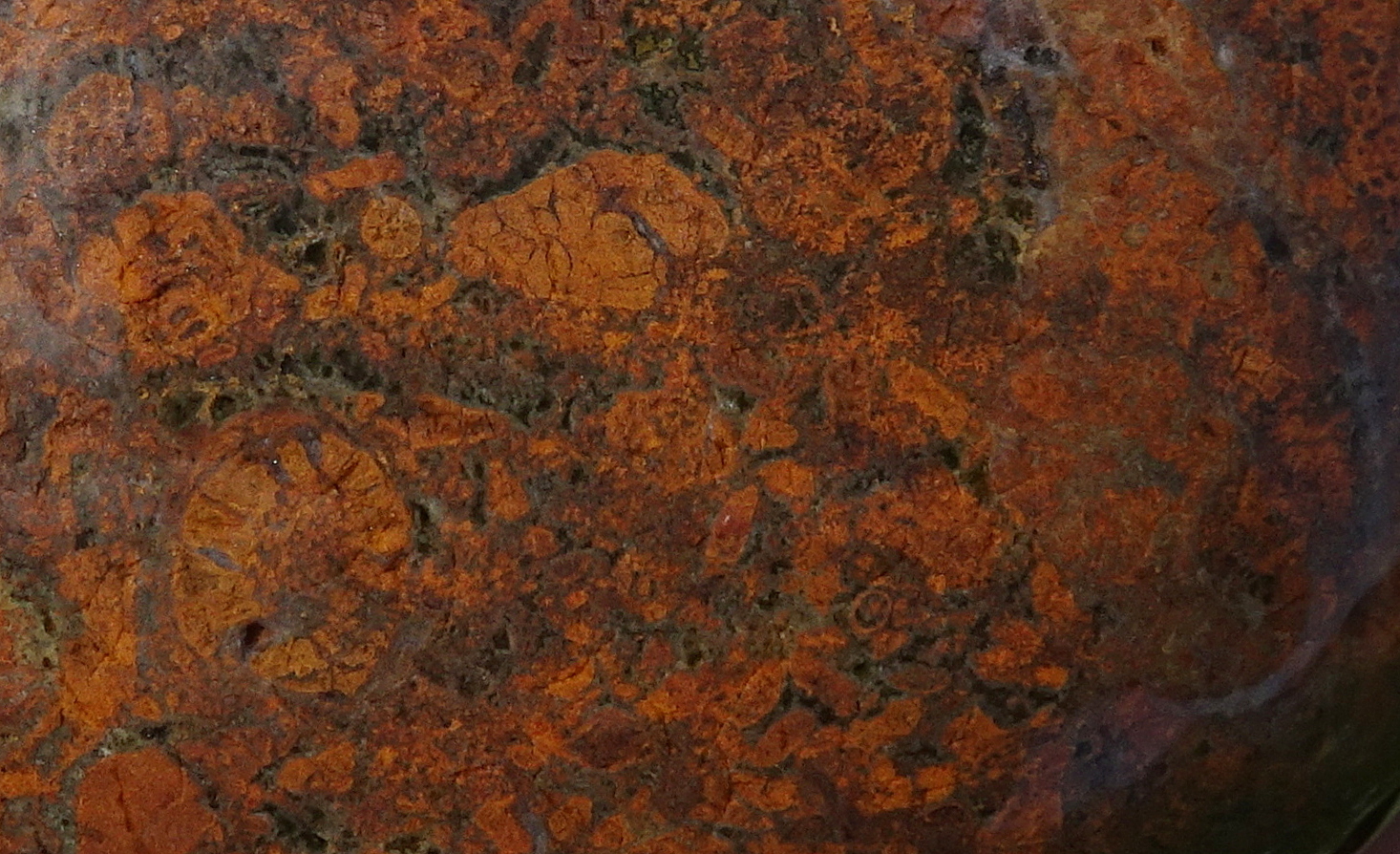 08bcc22