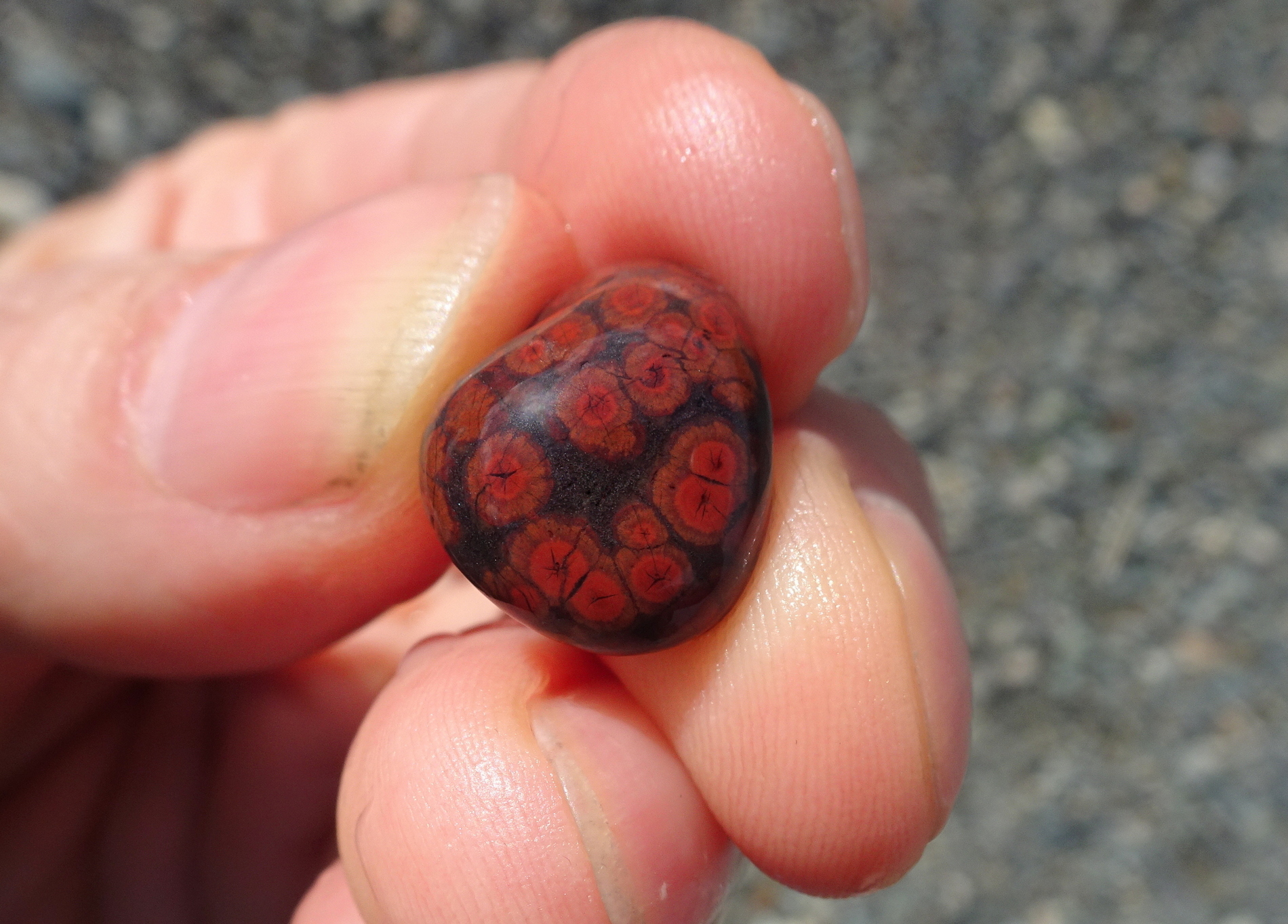 Another side of the small poppy jasper.