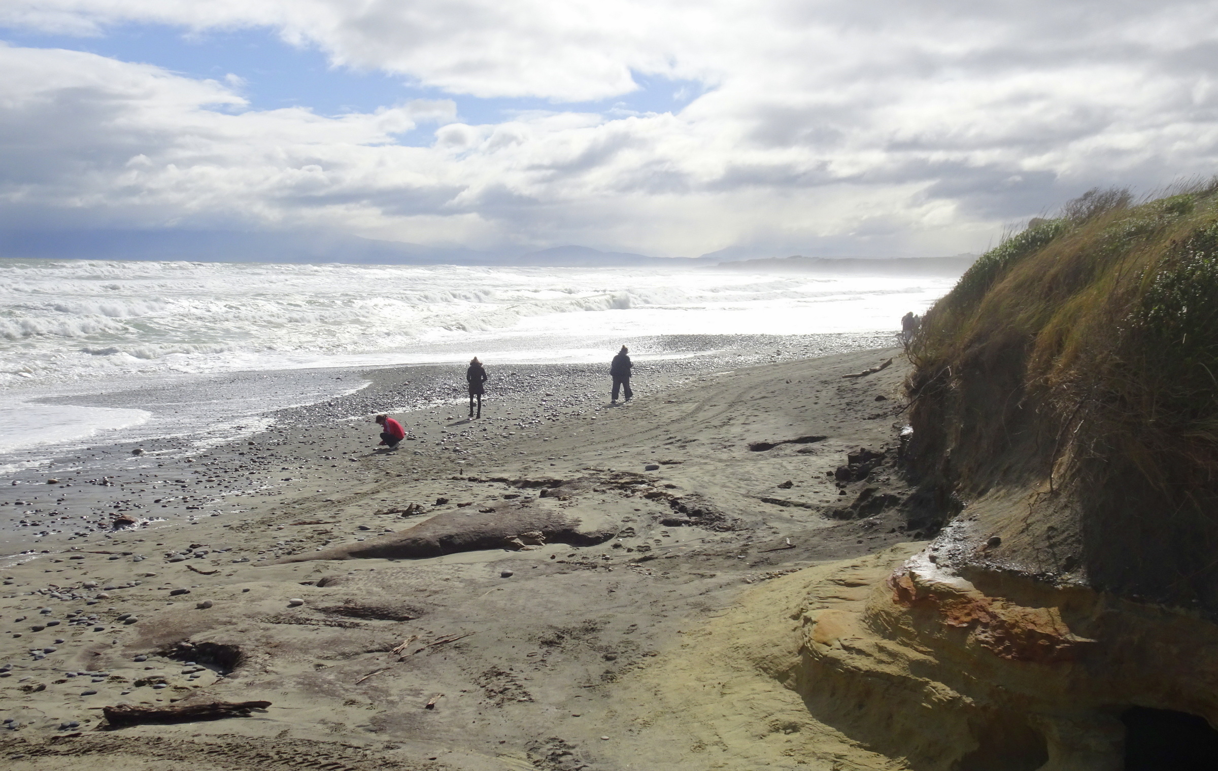 Arriving at Gemstone Beach, Thursday.