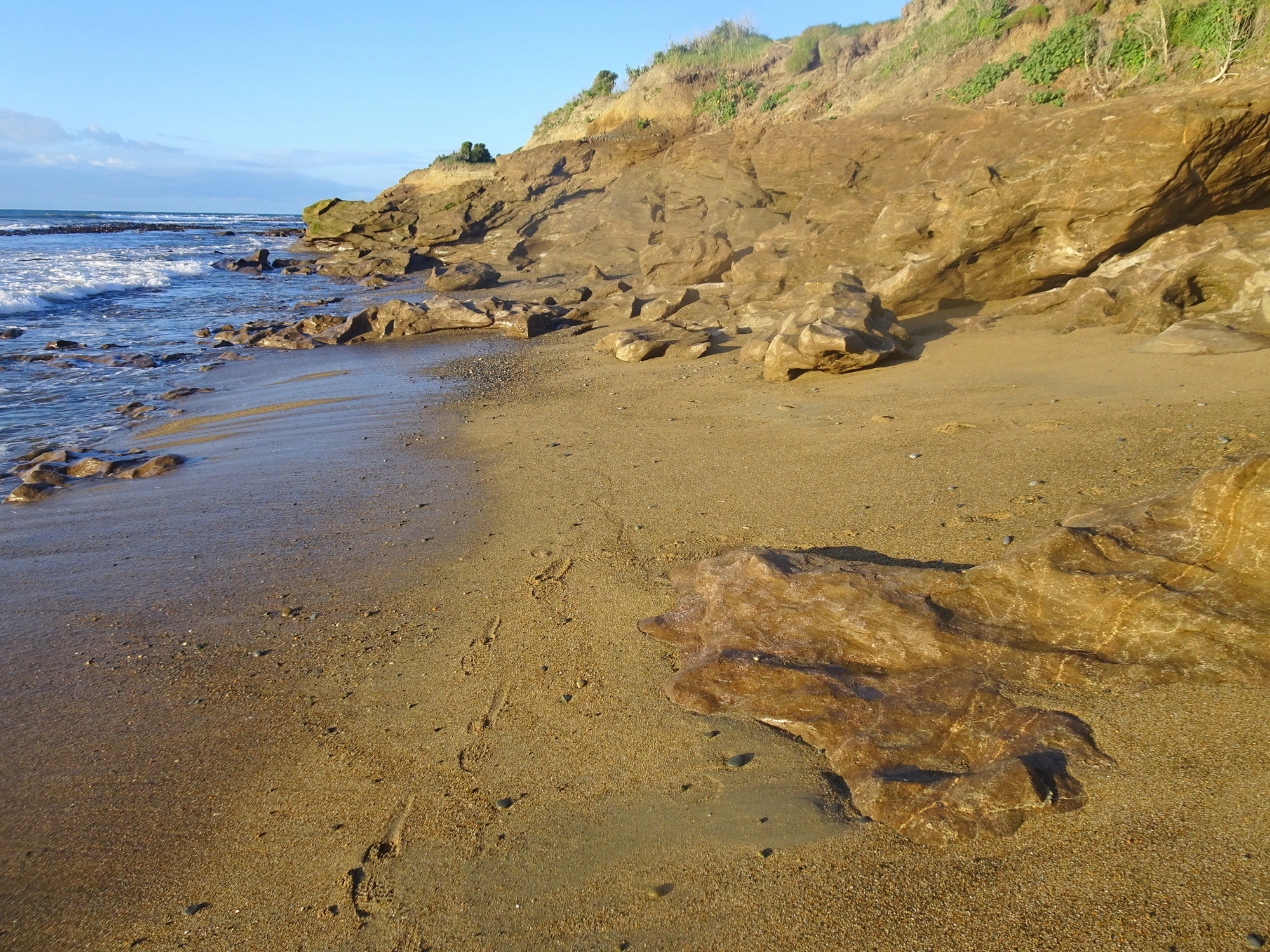 A lot of sand had recently been removed from this area by the sea.