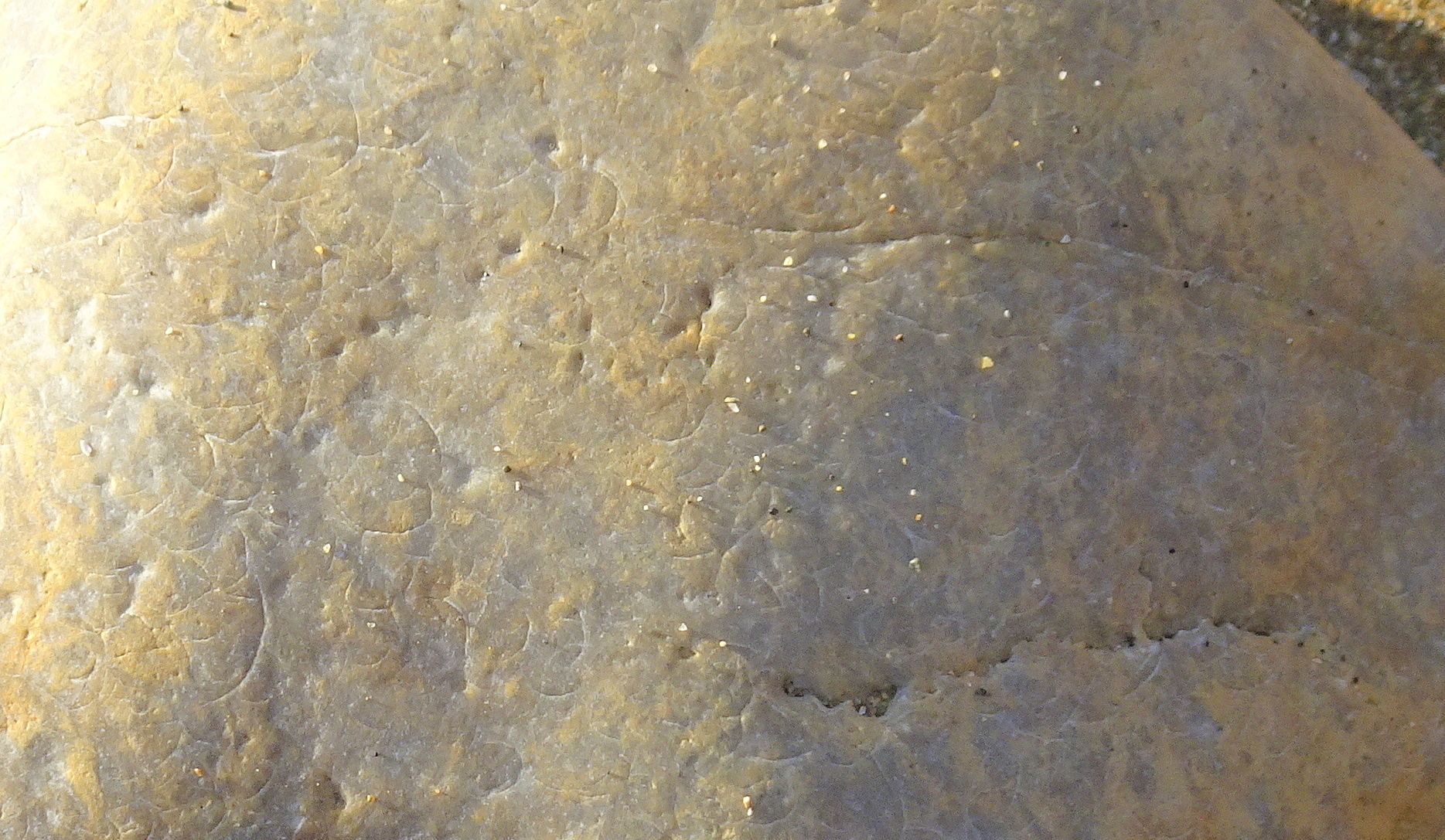 Close-up of the large quartzite rock.