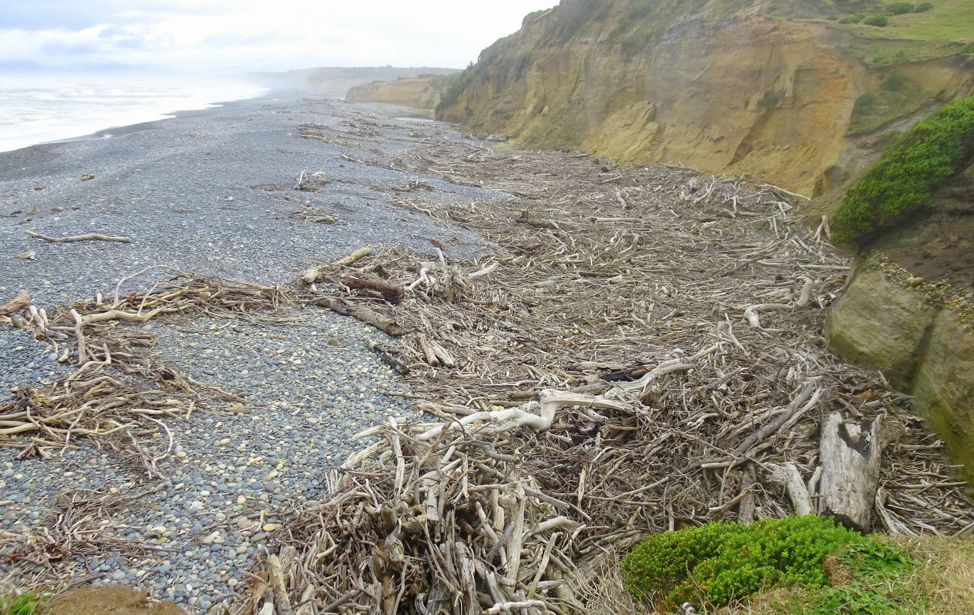 Driftwood packs the dry southern end of the Waimeamea River Lagoon.
