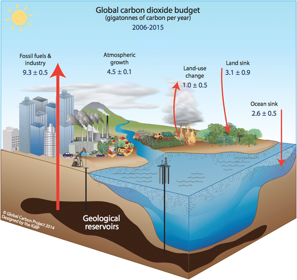 Como as áreas alagadas podem influenciar na mudança climática 9 Mapa global das zonas úmidas enterradas ao redor do mundo, mostrando depósitos de turfa que sequestram carbono da atmosfera