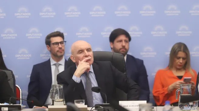 Espert confirmó que recibió 200 mil dólares de Fred Machado, pero aseguró que fue por su actividad privada