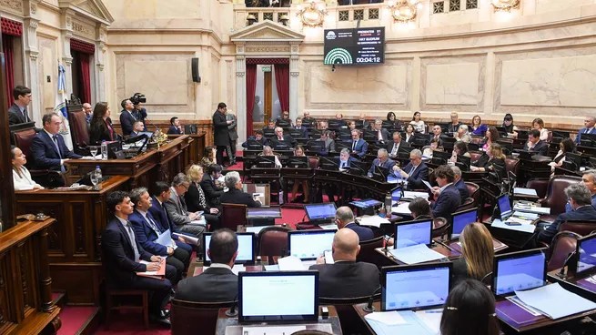 El Senado le dará otro revés al Gobierno: rechazará los vetos de Milei al Garrahan y Universidades