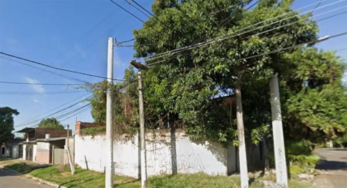 Tragedia en Tucumán: un joven murió electrocutado mientras cortaba paltas de un árbol en una vivienda