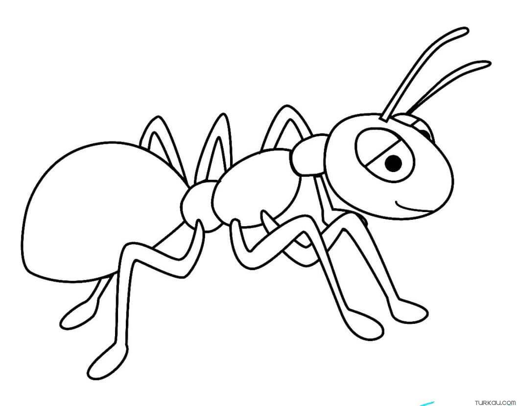 Ant leaf coloring page