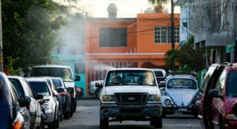 En Cozumel atienden llamado para prevenir enfermedades por vector