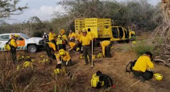 Puerto Morelos el más afectado por los incendios forestales