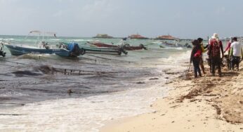 Estiman que termine pronto en recale de sargazo en Playa del Carmen