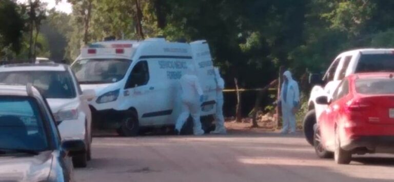 Hallan cuerpo descuartizado cerca de zona irregular en Tulum.