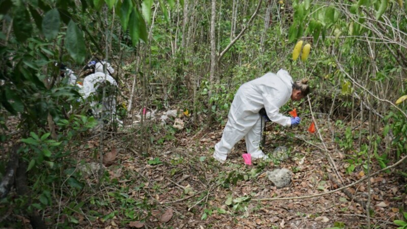 Localizan restos óseos durante operativo de búsqueda en Cancún.