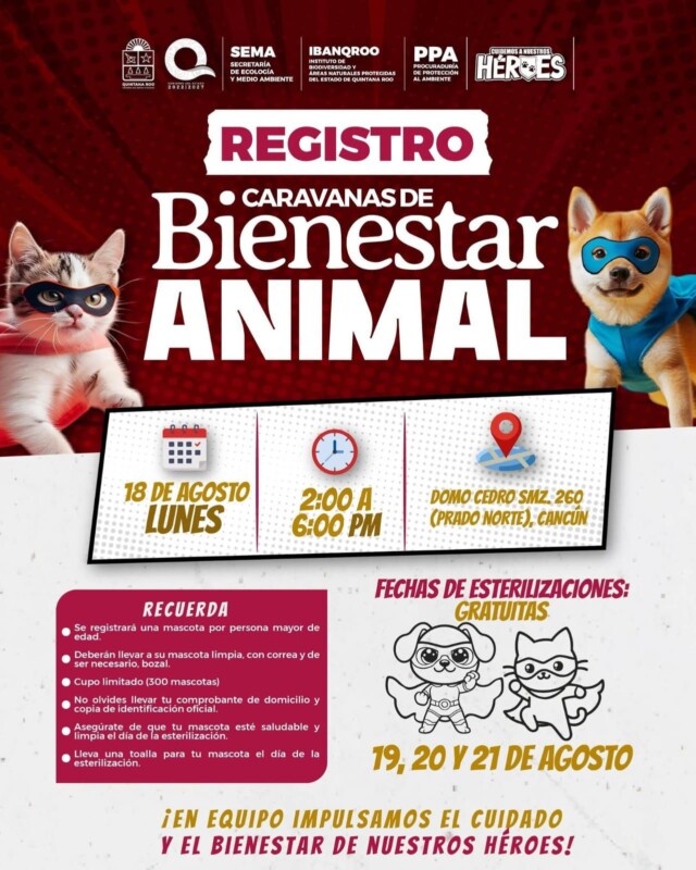 La gobernadora de Quintana Roo invita a los dueños de mascotas usar los servicios gratuitos, como esterilizaciones, vacunas, desparasitaciones hasta asesoría médica veterinaria.