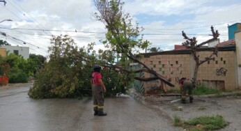 Protección Civil y Bomberos de Cancún atienden reportes tras las lluvias