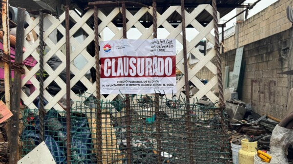 Respuesta inmediata a la ciudadanía: Clausuran chatarrera irregular en avenida Niños Héroes