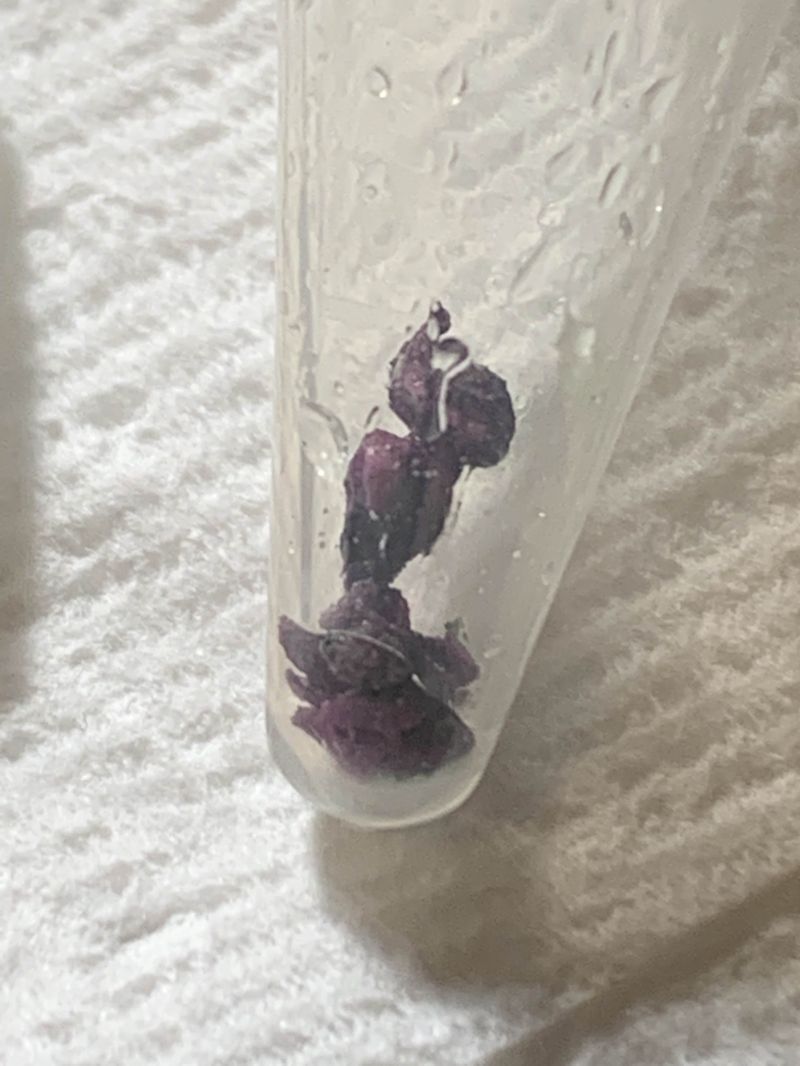 Ryan Tang Project Gallery - Vintage Backgrounds - Amazing HD Collection