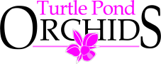 Turtle Pond logo