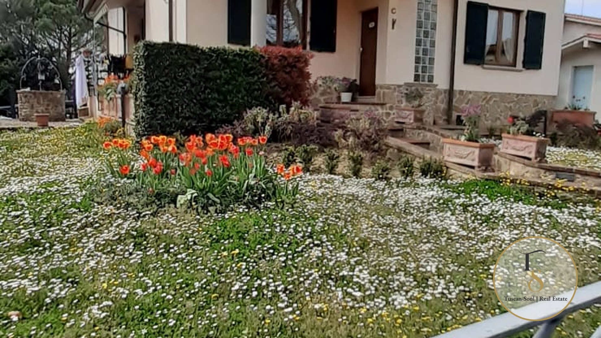 Villa Vitra