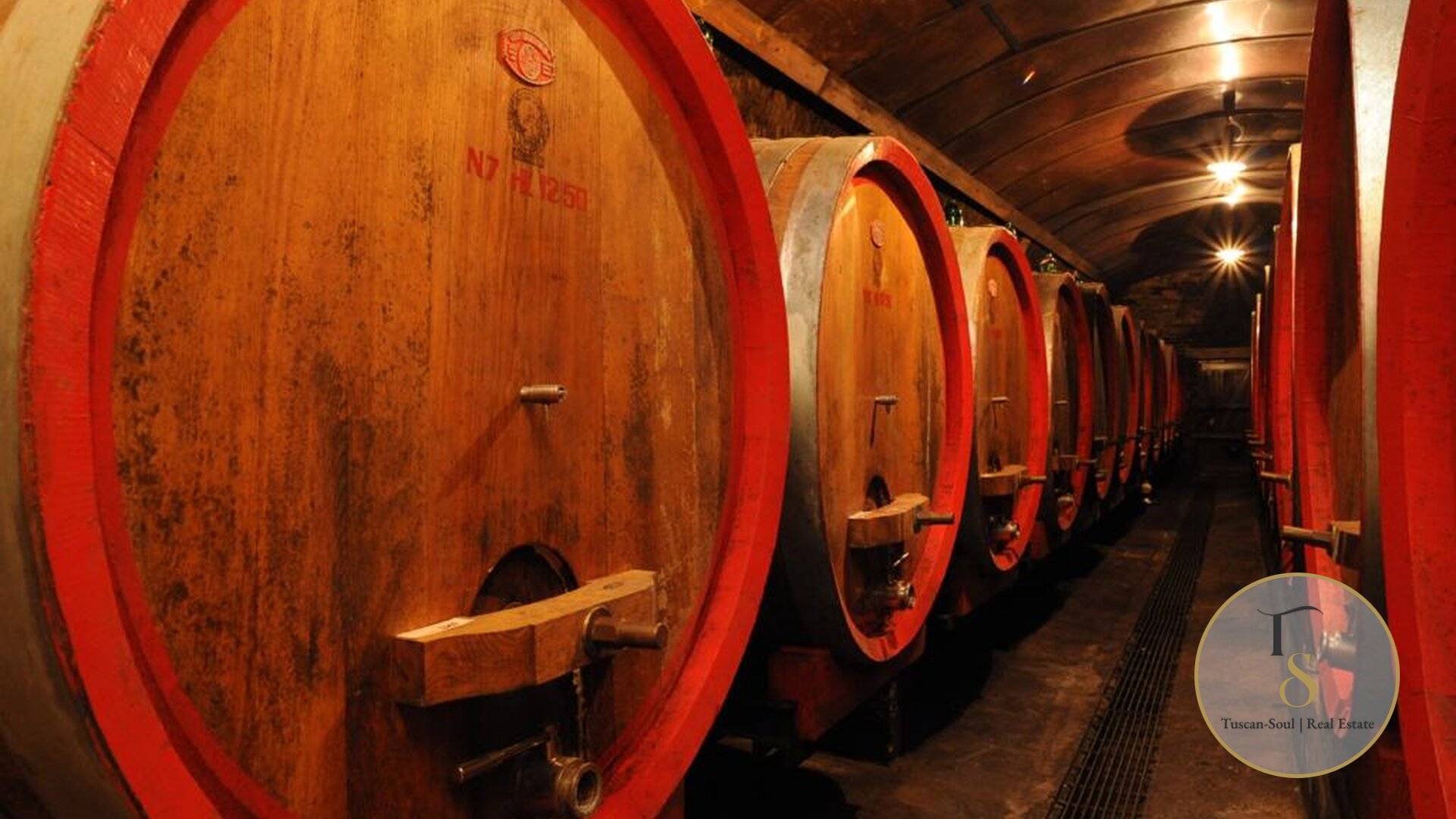Винодельческая компания «Il Terroir»
