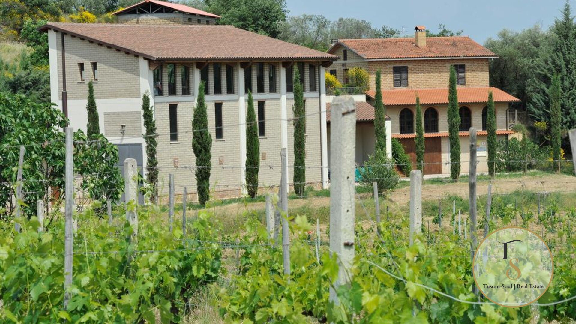 Винодельческая компания «Il Terroir»
