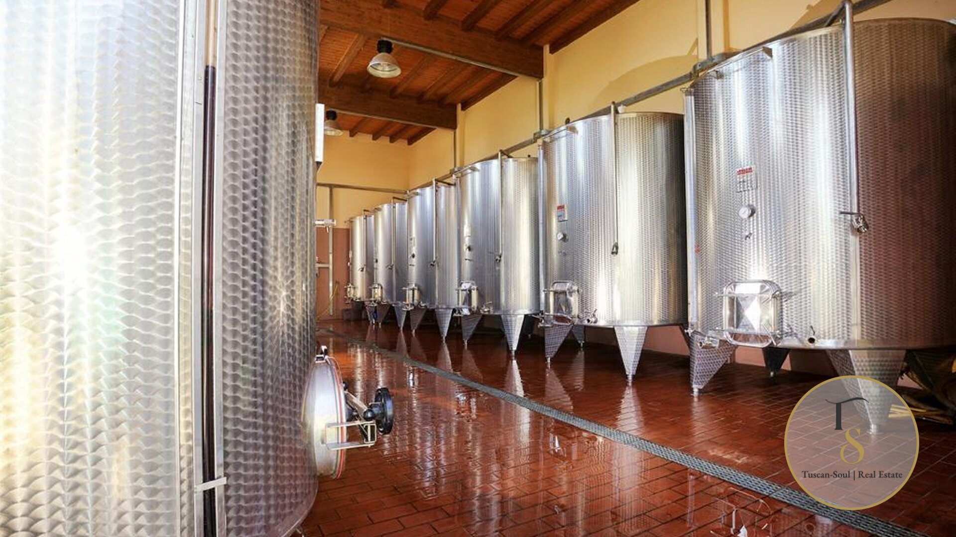 Винодельческая компания «Il Terroir»