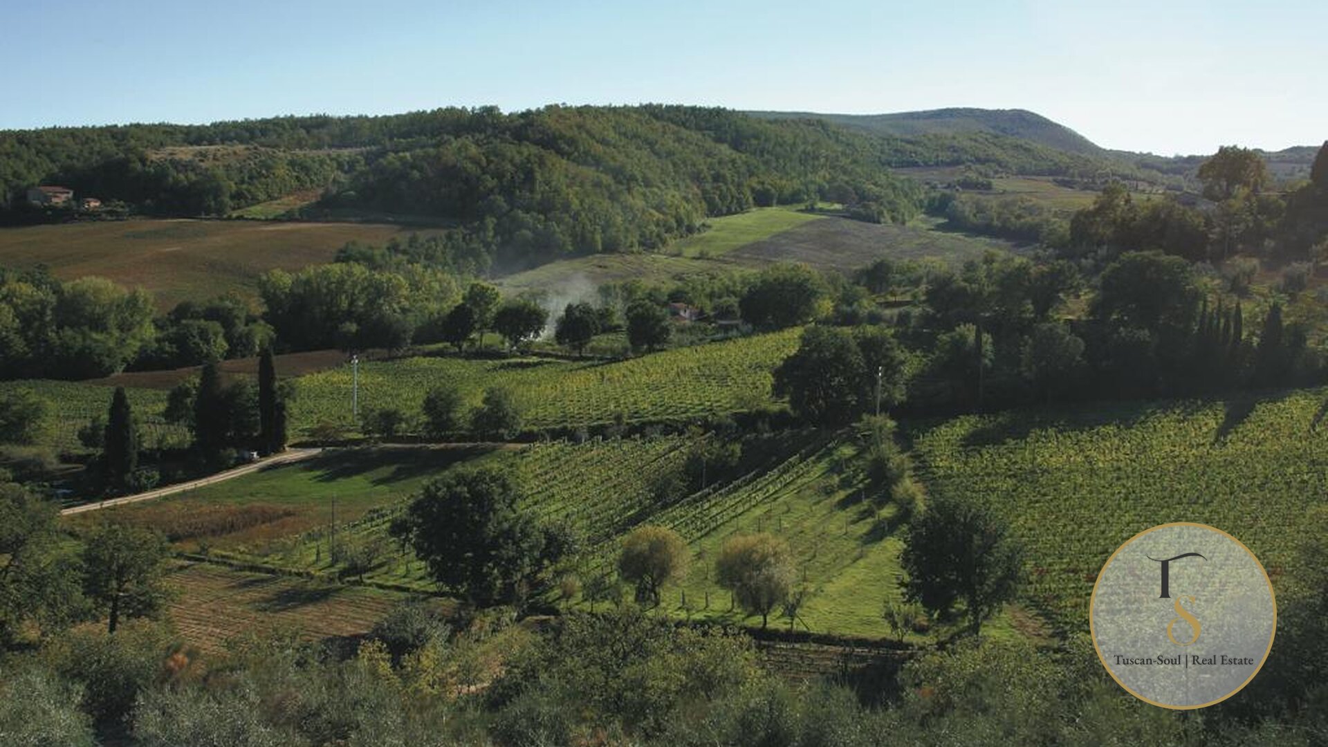Винодельческая компания «Il Terroir»