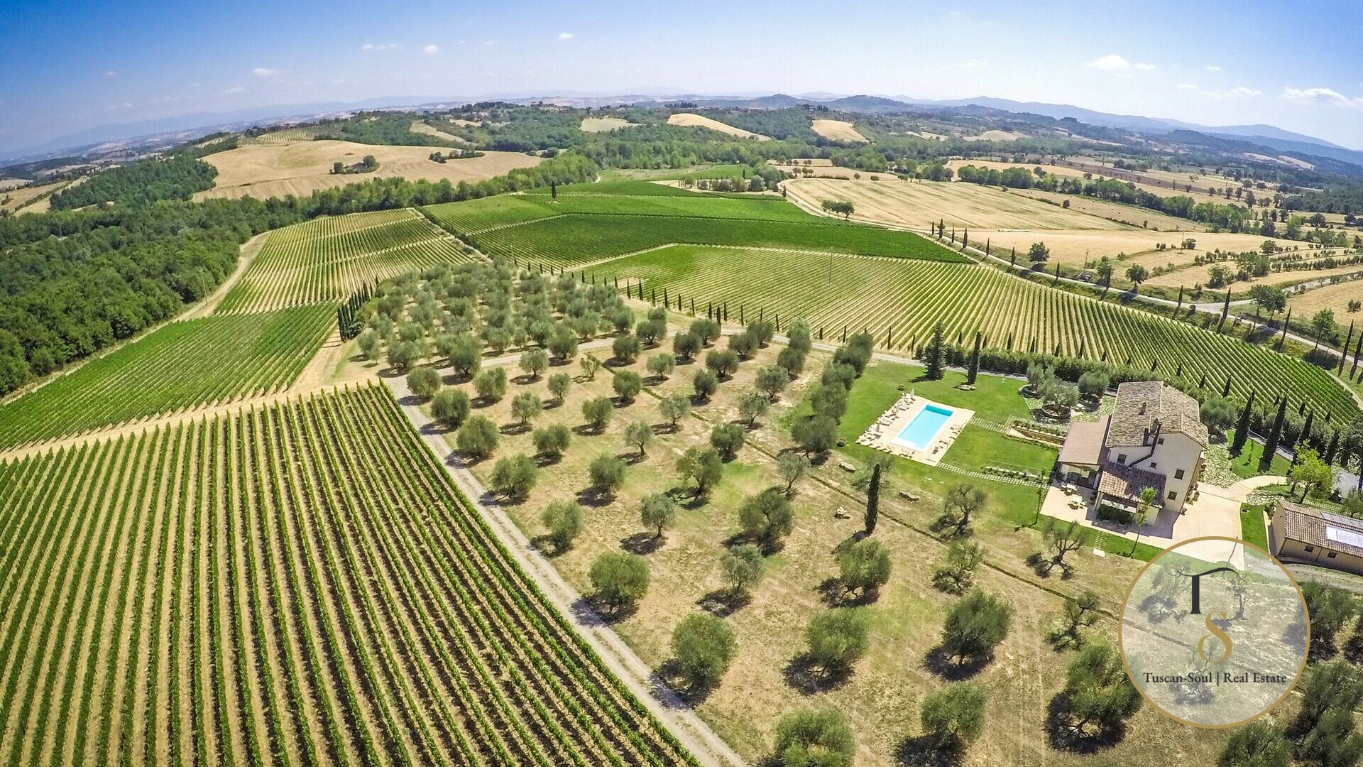 Винодельческое хозяйство «Фонте Бьянка»