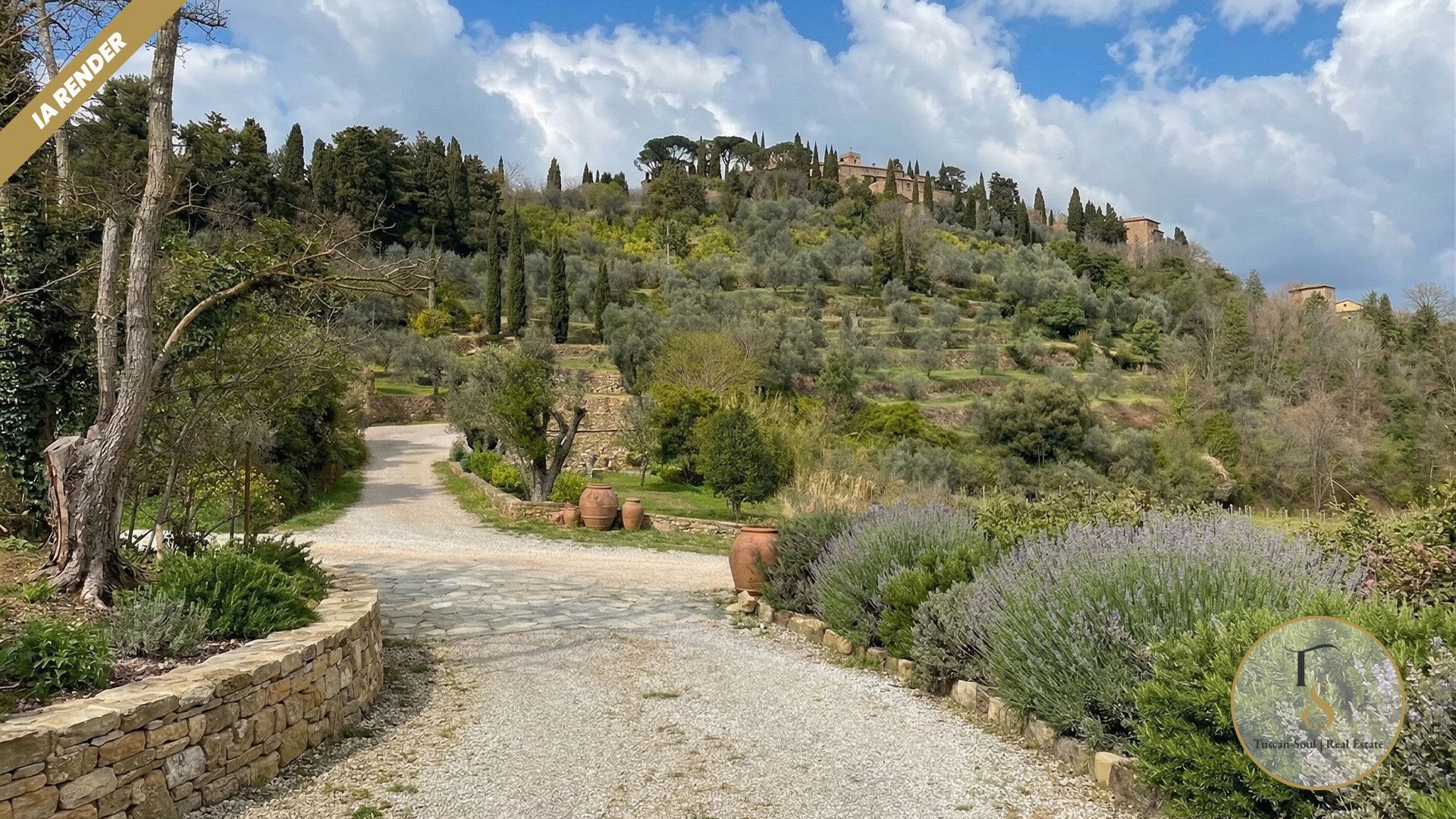 The Olive Project