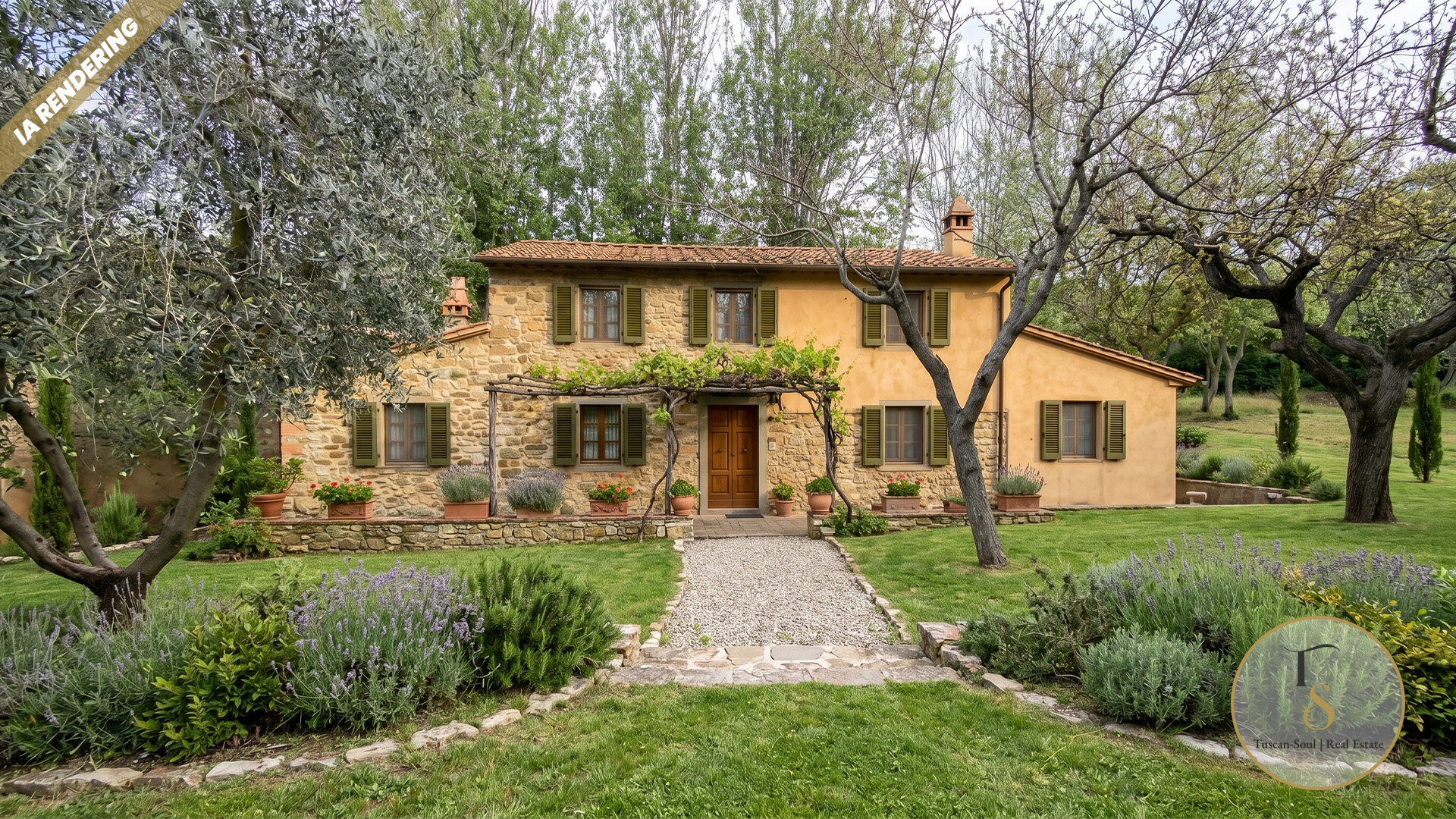 The Olive Project