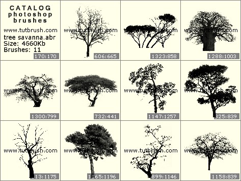 Awesome South Africa Collection Savanna Trees Xviii Photographic Print Philippe Hugonnard Allposters Com