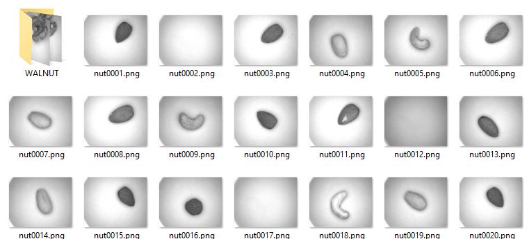 Create A Data Snapshot For Network Training Dstudio Tutorial - Ultra HD Geometric Pictures for Desktop
