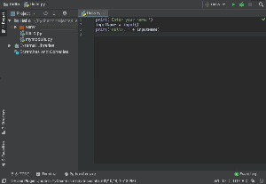 Python input function | Input String | Input Integer (Number) - EyeHunts