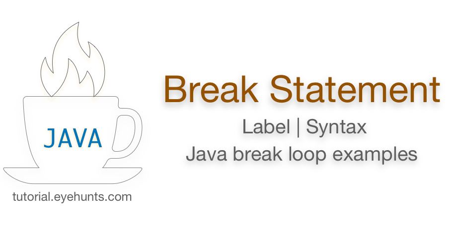Java break Statement | Label | Java break for loop example - EyeHunts