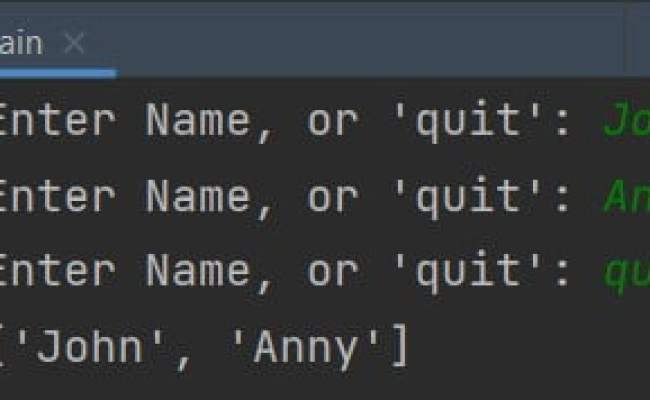 Python While Loop User Input | Example Code