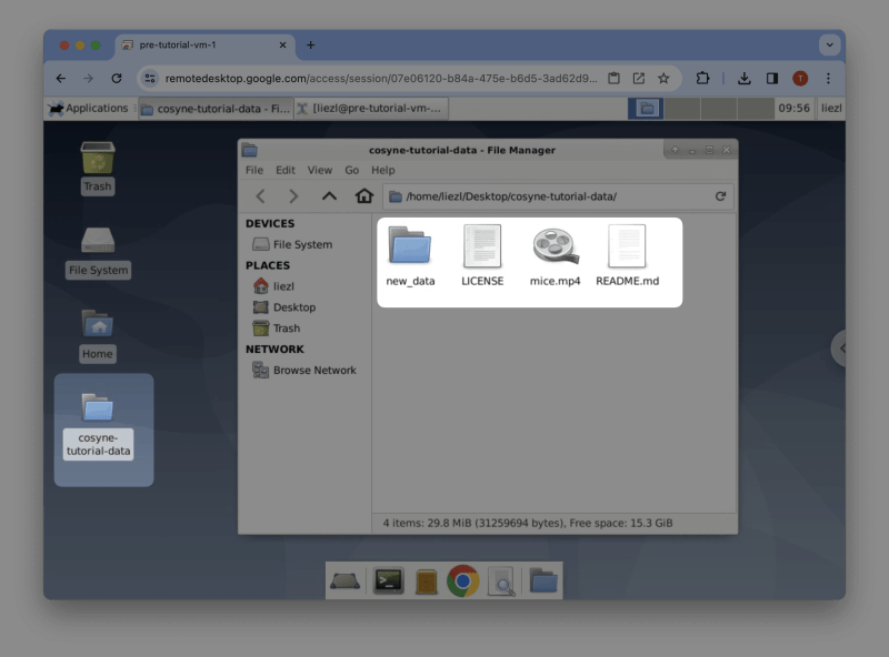 2 Importing Data Sleap Tutorial - Premium Vintage Illustration Gallery - Ultra HD