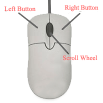 Computer Mouse with Parts Name