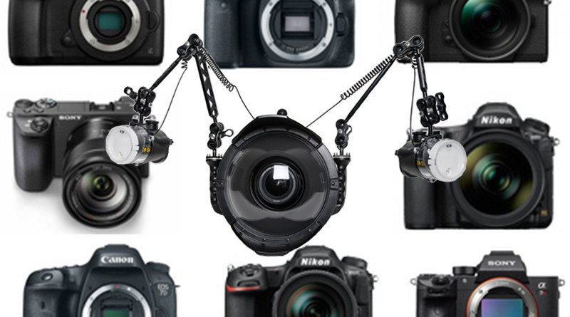 Cameras for Underwater Photography | Brent Durand Underwater