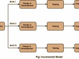 Incremental Model Software Engineering Phases Usage