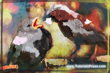 photoshop painting digital tutorial adobe tutorials step previous tutorialspress using