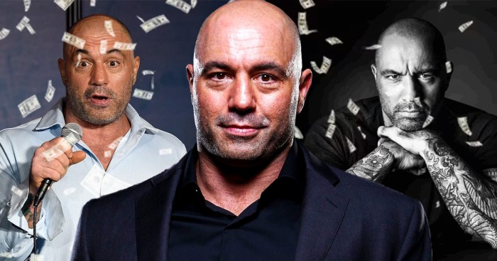 Joe Rogan Net Worth: How Much Is the Famous Podcaster Worth? - TVovermind Joe Rogan Net Worth: How Much Is the Famous Podcaster Worth? - TVovermind