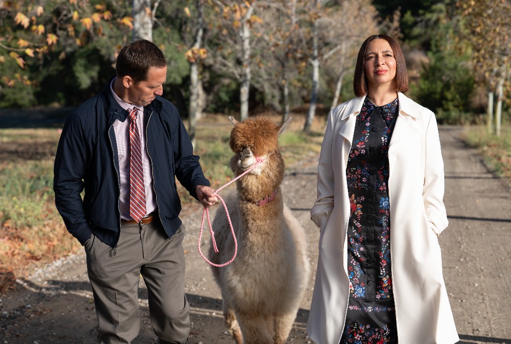 Airdate: Loot | TV Tonight - Vimarsana News