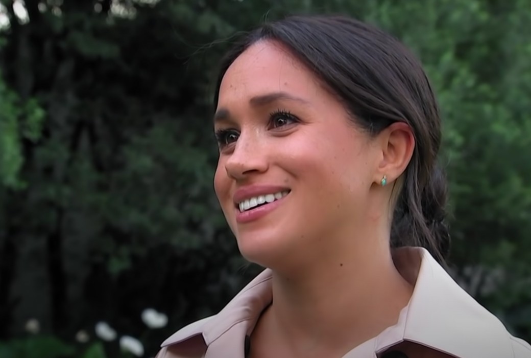 Netflix ends animated series with Megan Markle - Vimarsana News