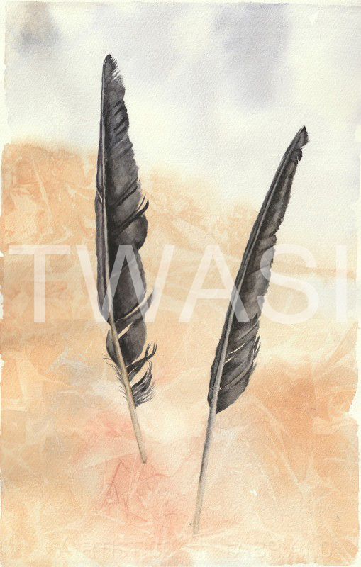 'Corvus' by Elle Salt Watercolour 38 x 24 £140
