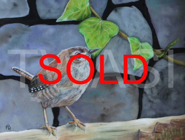 'Jenny Wren' by Frances Daunt Mixed media Unframed 18 x 24- SOLD