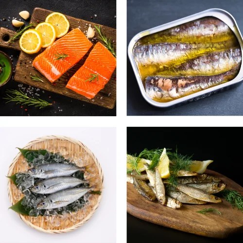 Fatty Fish In Post Image