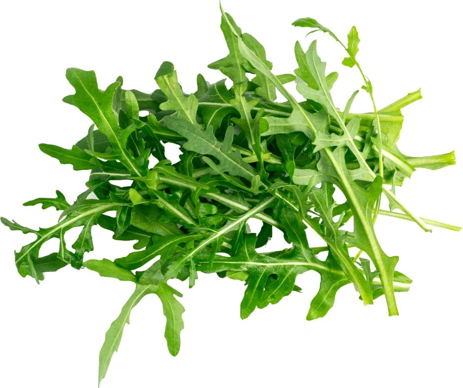 Arugula