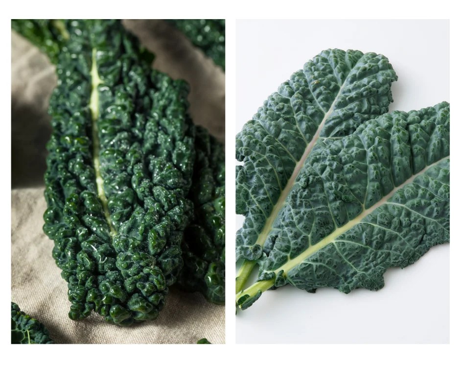 Kale